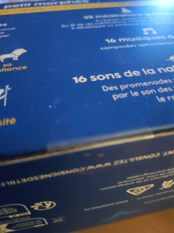 Petit Morphée version 2025 - photo numéro 2