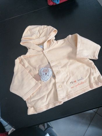 Gilet 6 mois absorba