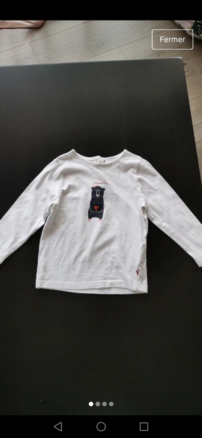 Haut ours 🐻 - photo numéro 2