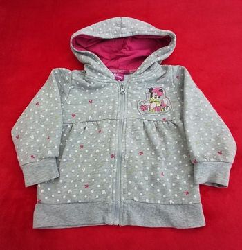 Beau sweat Minnie 🌸 Disney