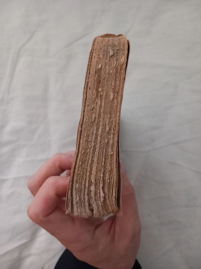 Jean Coste ou l'instituteur du Village - photo numéro 4