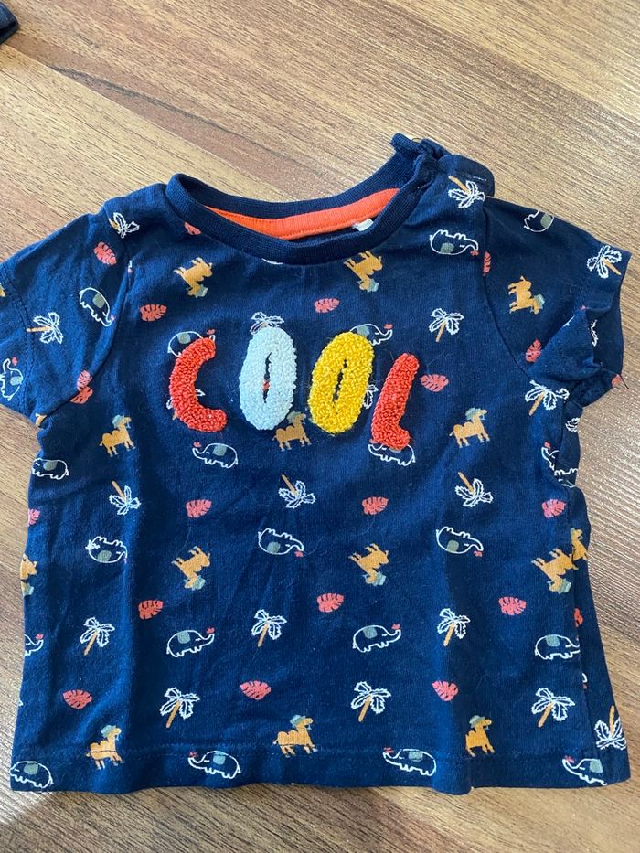 Lot 4 tee shirt manches courtes - photo numéro 6