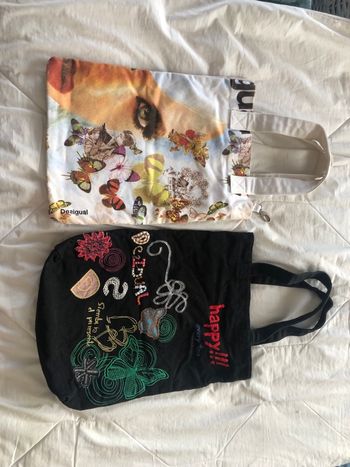 Lot 2 sac Desigual