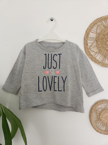 Sweat fin gris chiné Bronzini 2 Ans