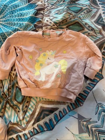 Pull licorne