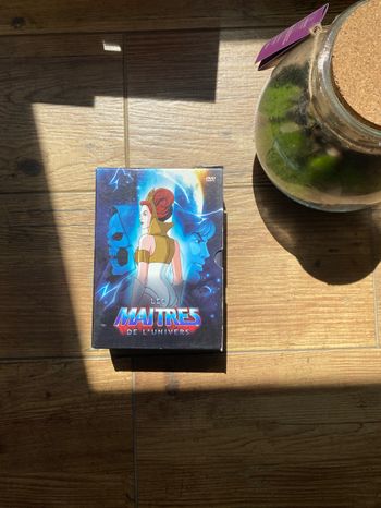Dvd les maîtres de l’univers
