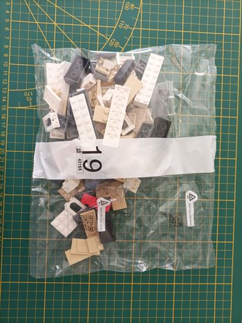 Sachet numéro 19 n°19 complet pour le set Lego Icons 10294 Le Titanic