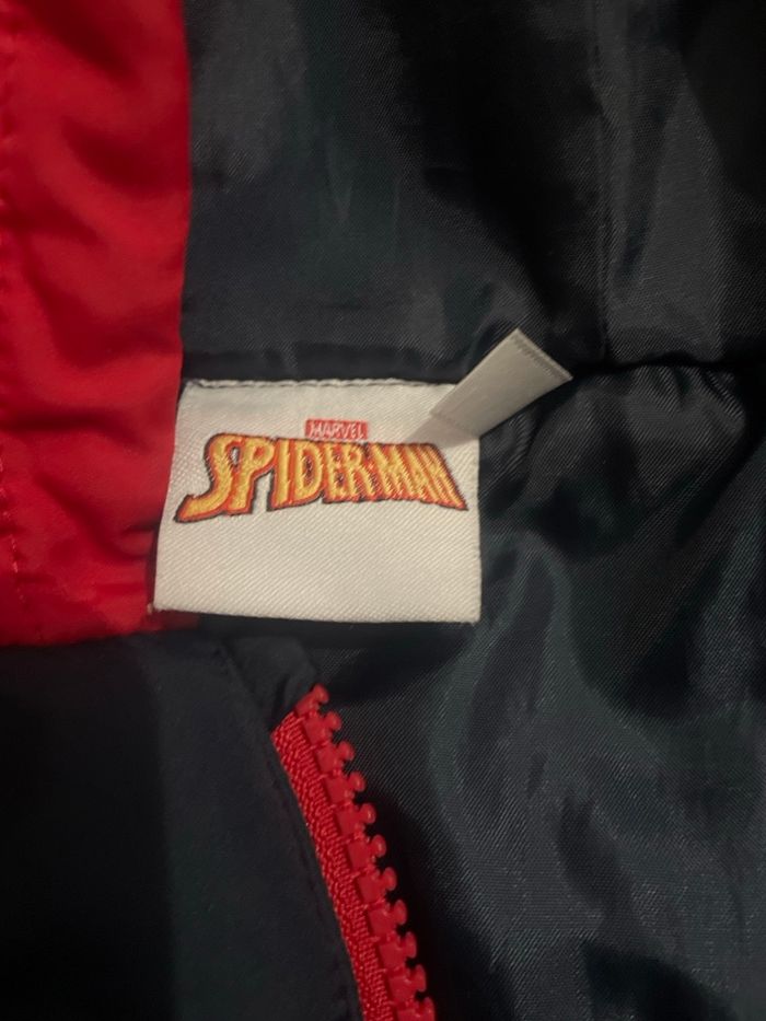 Spiderman - photo numéro 3