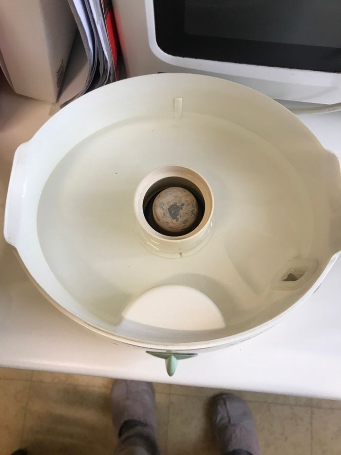 Appareil à vapeur de cuisson vita saveur 700 xl - photo numéro 5