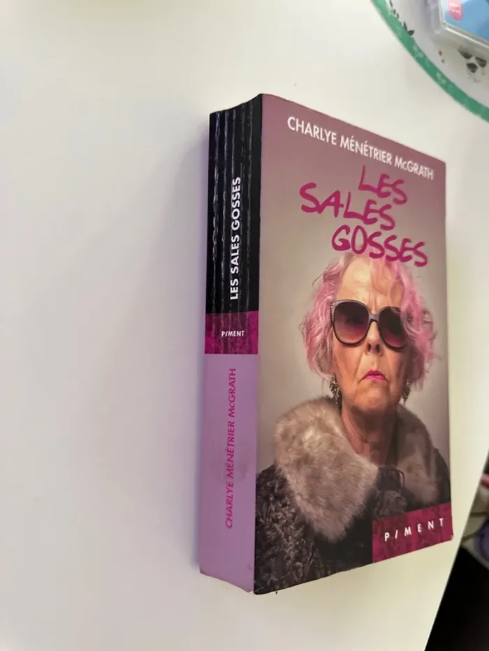Livre les sales gosses - photo numéro 2