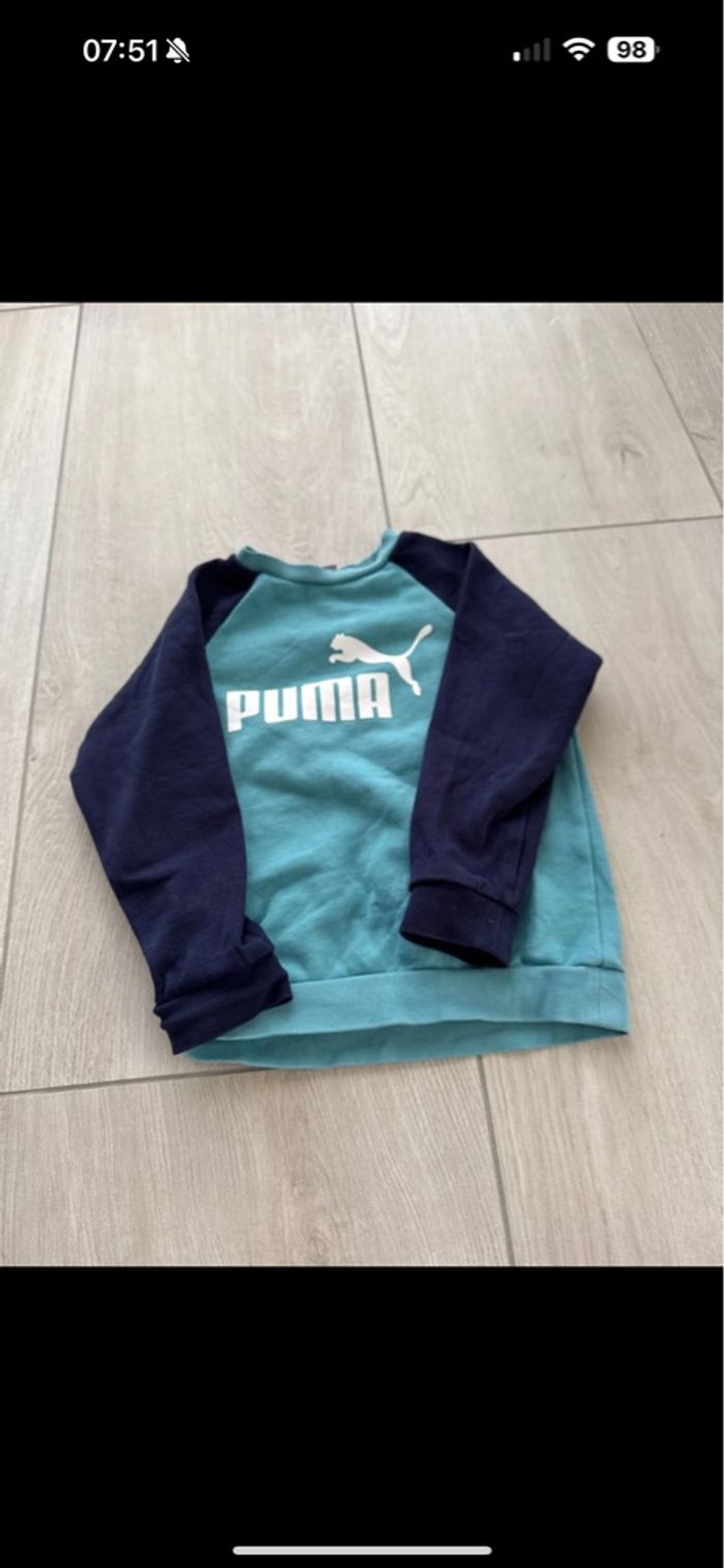 Pull puma
