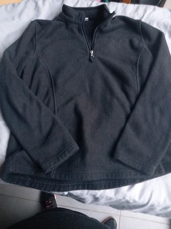 Pull polaire