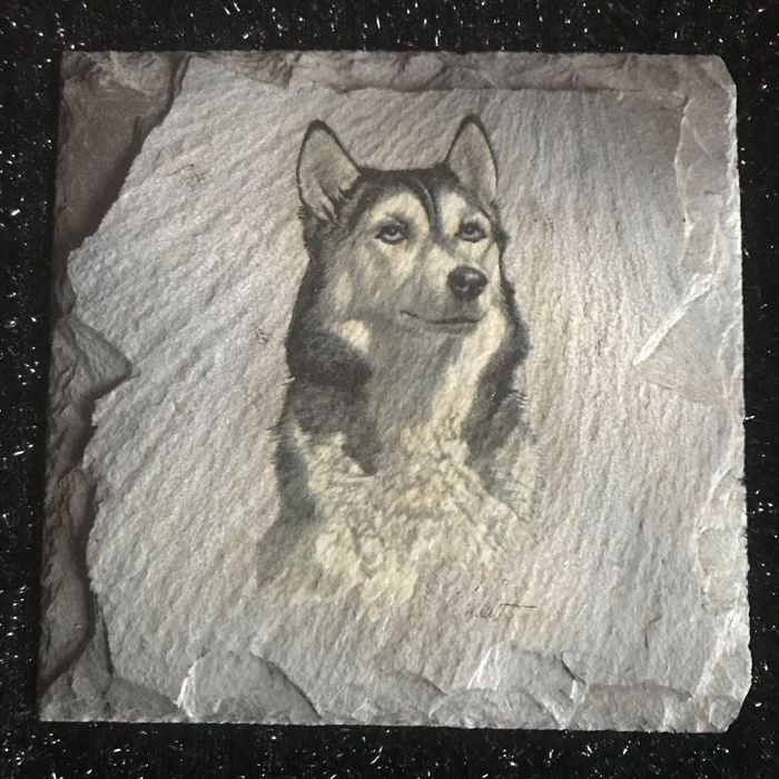 cadre déco husky * prix 2e * kiki60230