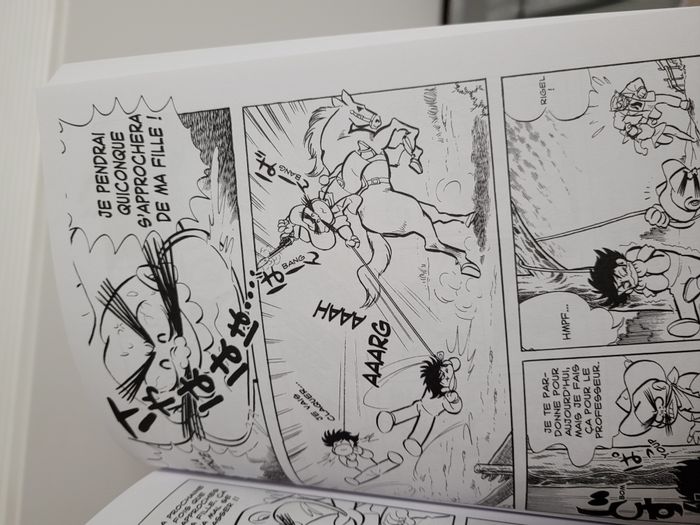 Livres / Bande dessinée / Goldorak / Grendizer / Actarus - Collection Intégrale Manga 4 livres - photo numéro 5