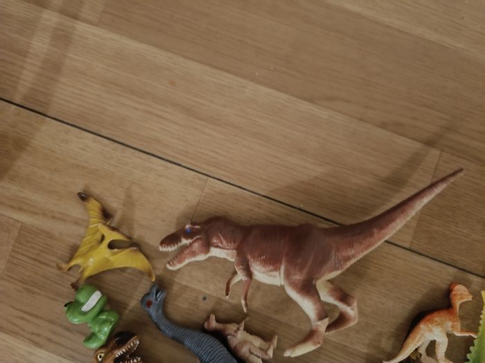 Lot de dinosaure - photo numéro 5