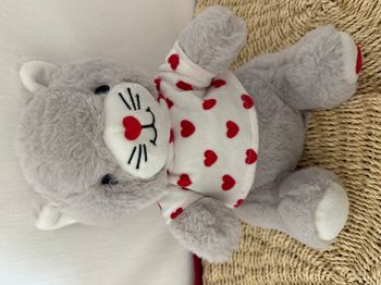 peluche chat Françoise saget cris blanc rouge coeur t-shirt saint Valentin
