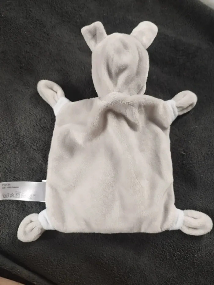 Lapin minikiss - photo numéro 4