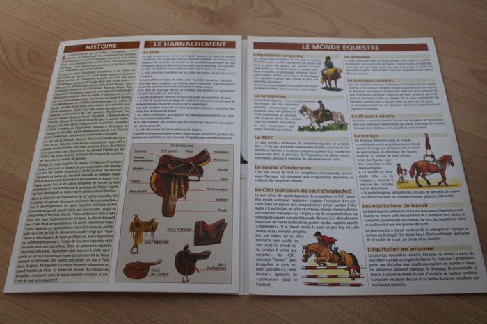 Lot 2 petits guides - photo numéro 3