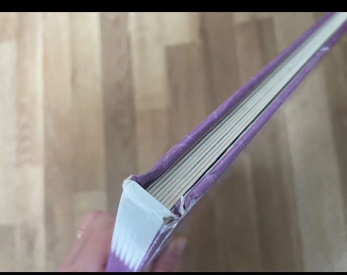 Grand livre cherche et trouve Disney princesse - photo numéro 6