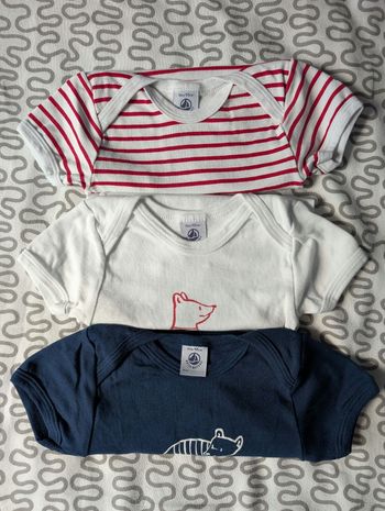 Lot 3 bodies MC PB 36 mois