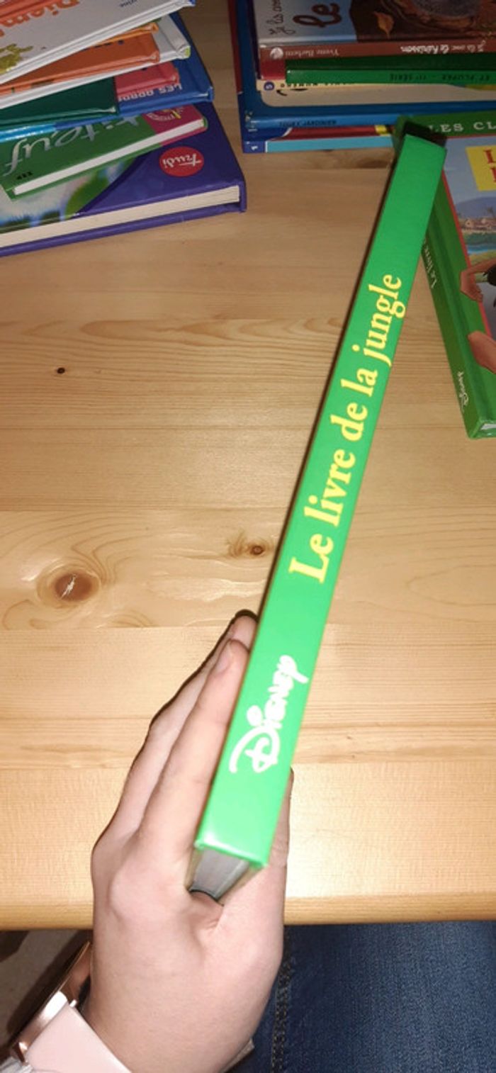 Le livre de la jungle - photo numéro 2