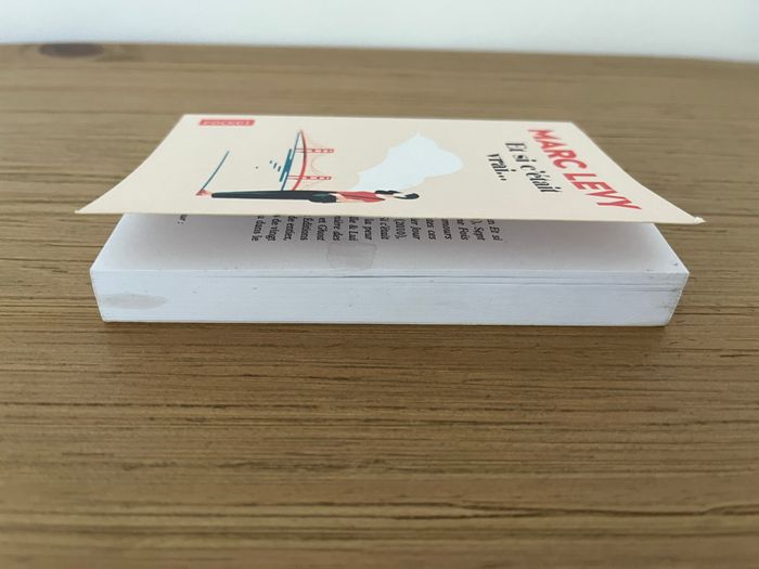 Et si c'était vrai - Marc Levy - photo numéro 3