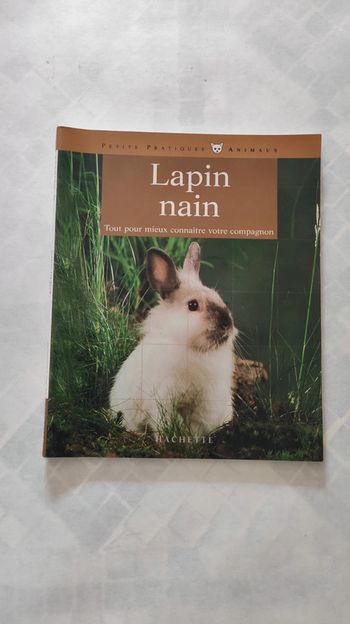 Le lapin nain