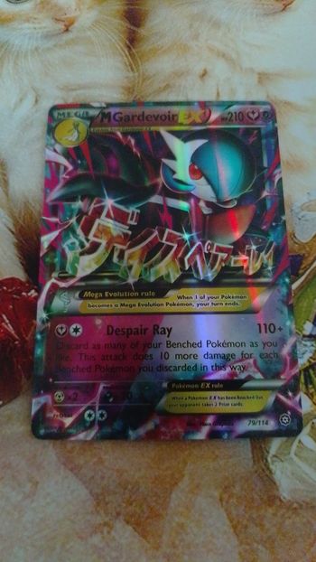 Carte  pokémon