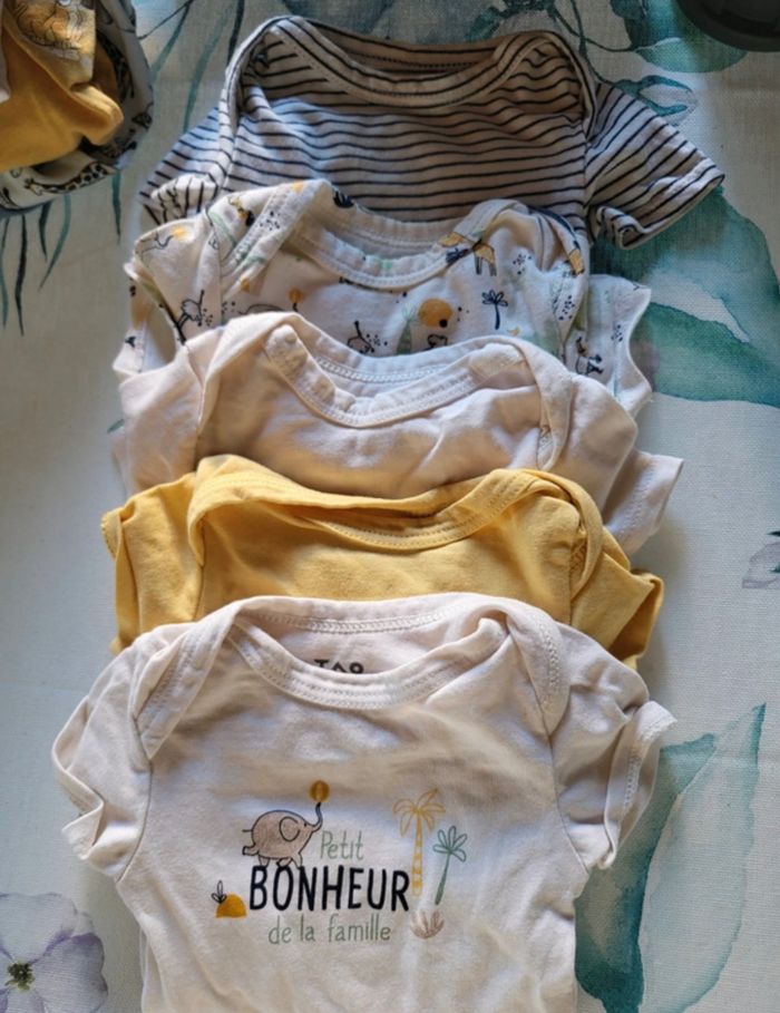 Bodies manches courtes