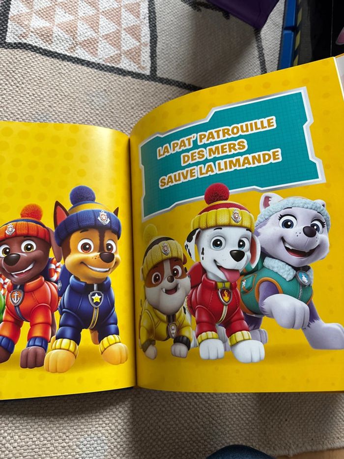 Les aventures de la pat’ patrouille - photo numéro 4