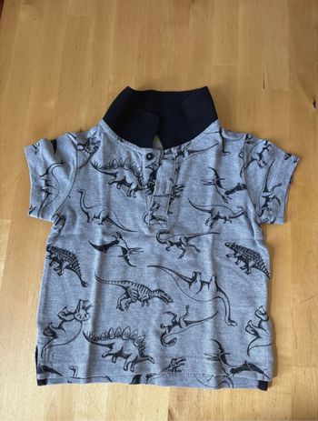 Polo dinosaure