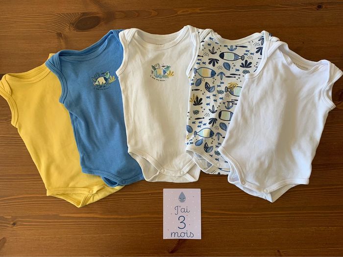 Lot 5 bodies sans manches!