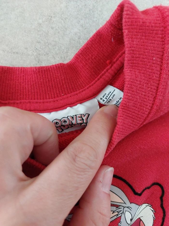 Sweat Looney Tunes orchestra - photo numéro 4