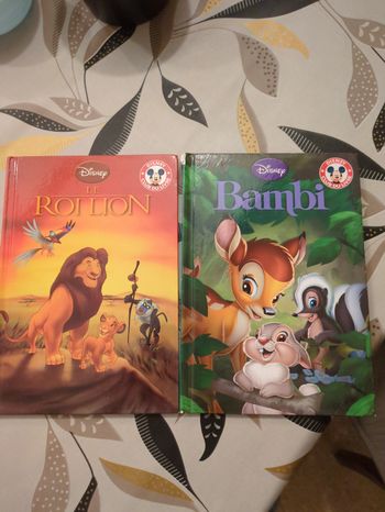 Lot de deux livres Disney