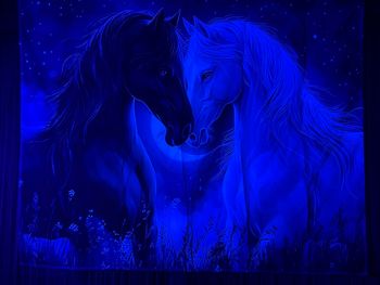 Toile murale décorative couple de chevaux