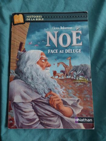 Livre : Noé face au déluge de Flore Talamon