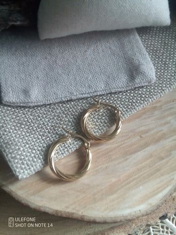 Petites créoles torsadées