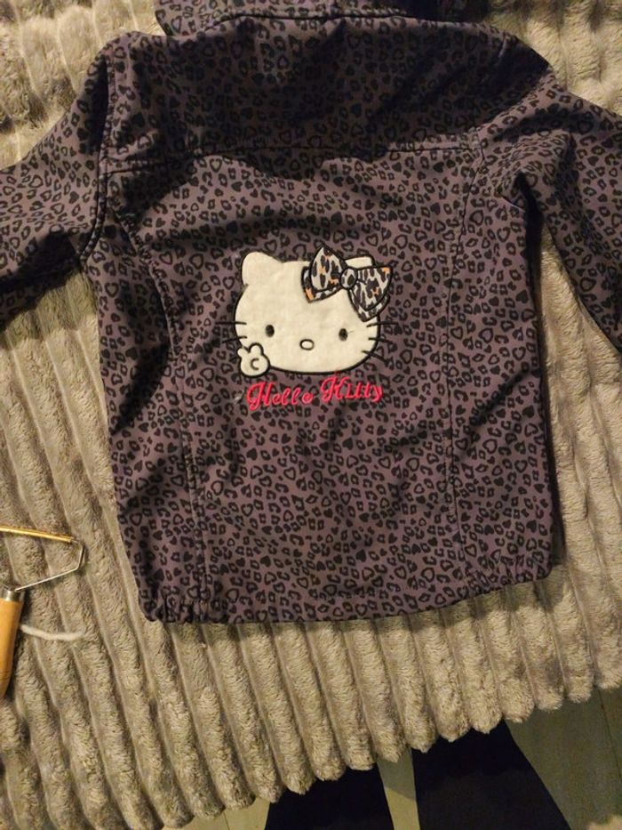 Veste - photo numéro 3