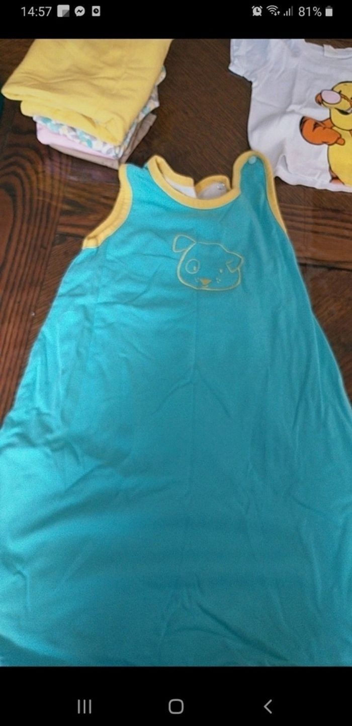 Gigoteuse - photo numéro 2