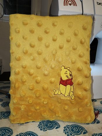 Protège carnet de santé 