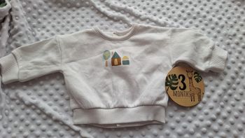 Pull la redoute