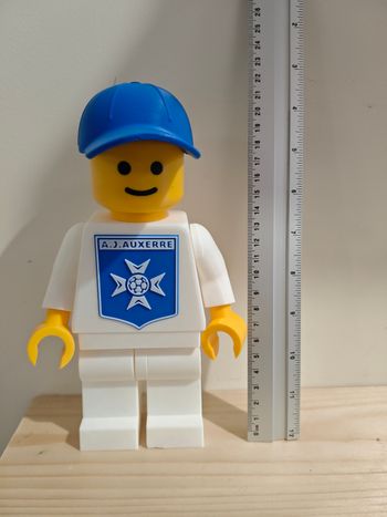 Personnage Lego Aja