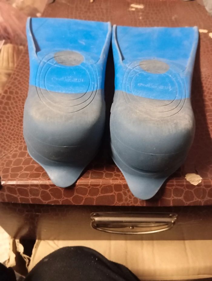 Palme 38/39 - photo numéro 3