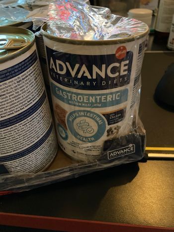 Pâté pour chien gastroenteric 