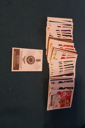 Panini club world cup 25