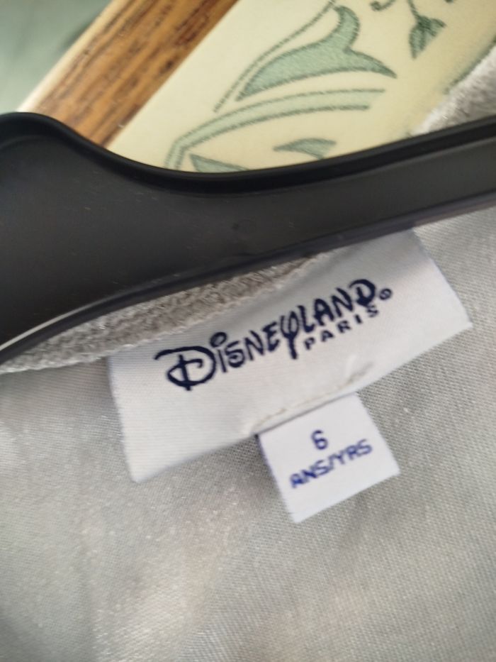 Déguisement la Fée Clochette - photo numéro 7