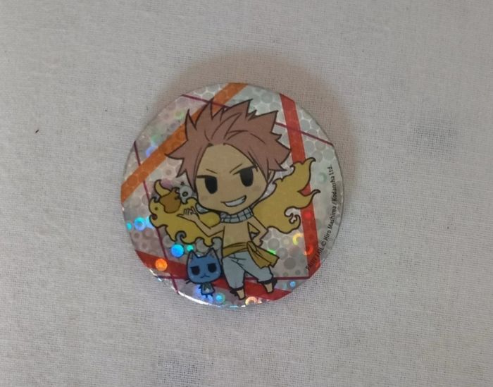 Pins Fairy Tail Natsu