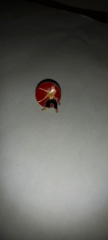 Pin's samourai