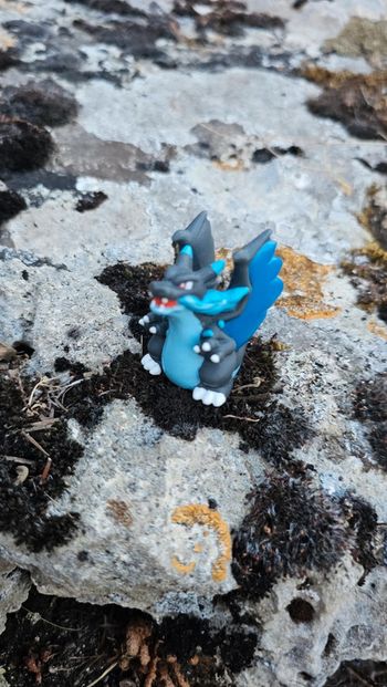 Super figurine Pokemon Nintendo finger puppet Mega-Dracaufeu