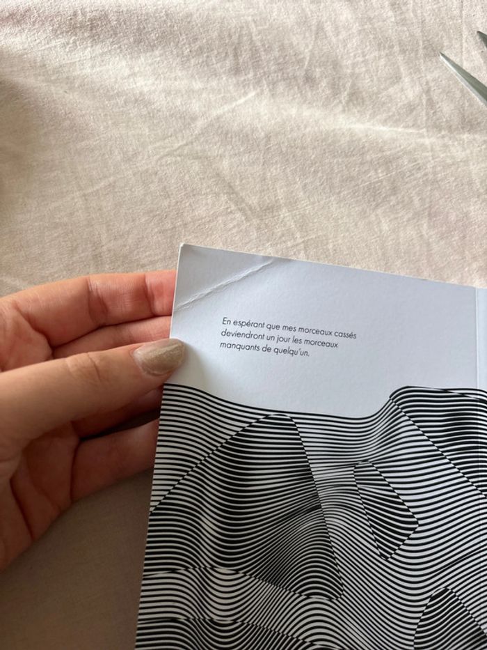 Je ne finirai jamais ce livre - photo numéro 4
